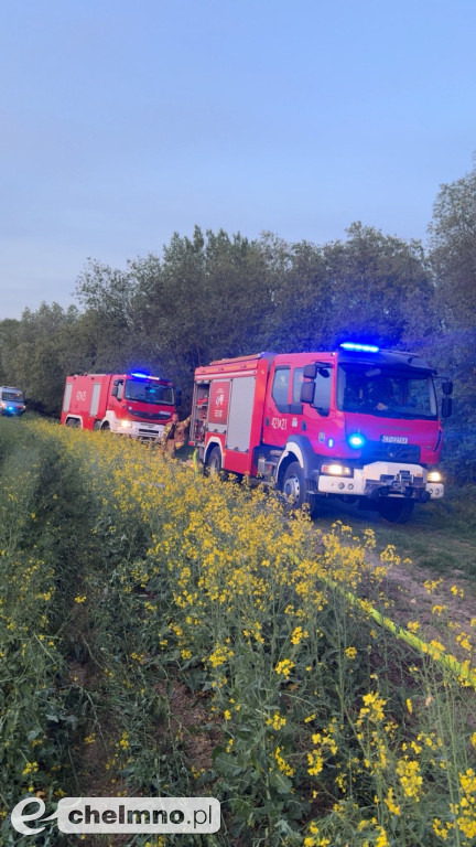 Pożar trzcinowisk w Podwiesku. Strażacy walczyli z ogniem