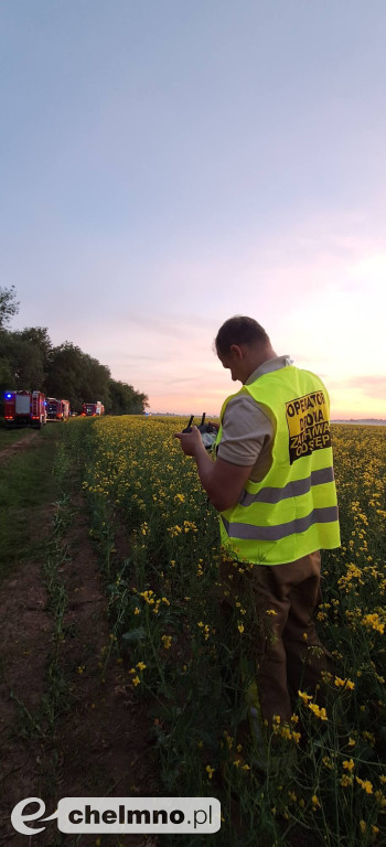Pożar trzcinowisk w Podwiesku. Strażacy walczyli z ogniem