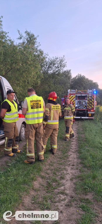 Pożar trzcinowisk w Podwiesku. Strażacy walczyli z ogniem