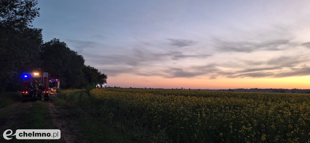Pożar trzcinowisk w Podwiesku. Strażacy walczyli z ogniem