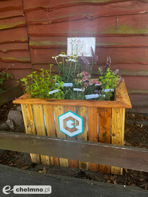Gdy kwiaty mówią „dzień dobry” – florystyczna przygoda