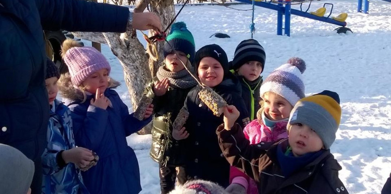 Akcja dokarmiania ptaków zimą w Niepublicznym Przedszkolu "Brzdąc"