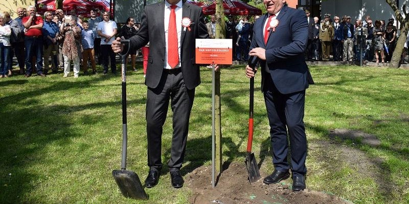 Symboliczne posadzenie DĘBU NIEPODLEGŁOŚCI dla upamiętnienia 100-lecia odzyskania 