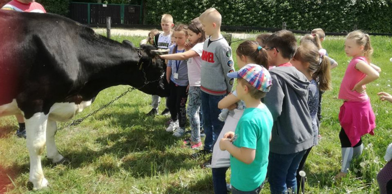 Sielski czas w gospodarstwie agroturystycznym Państwa Czernikowskich