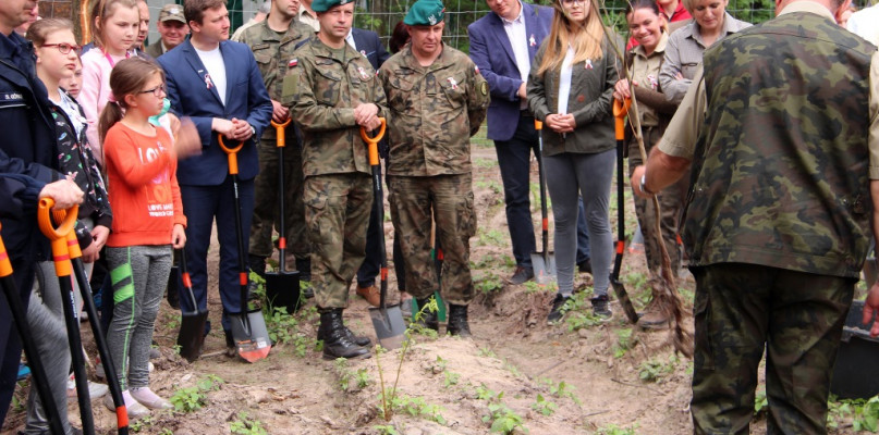 100 Dębów na 100 rocznicę