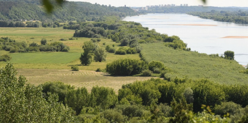 Góry Łosiowe - powstał 10 Park Krajobrazowy w województwie kujawsko-pomorskim