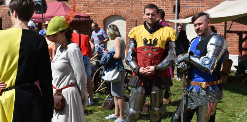 Majówka w okolicach. Pokazy sokolnicze, potyczki rycerskie i średniowieczny klimat