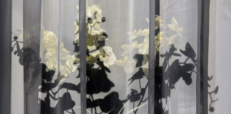 Firanki tiulowe - jak je prać?