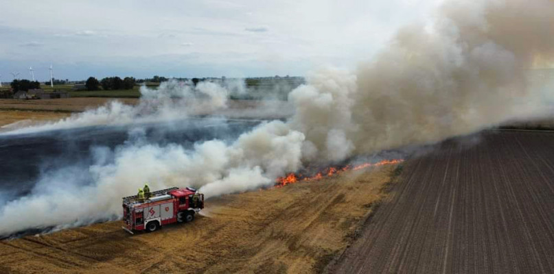Paliło się w Grzybnie. Zobaczcie zdjęcia i film z akcji 