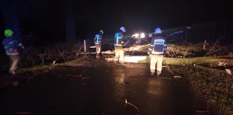 Powalone drzewa w okolicach. Strażacy interweniowali sporo razy