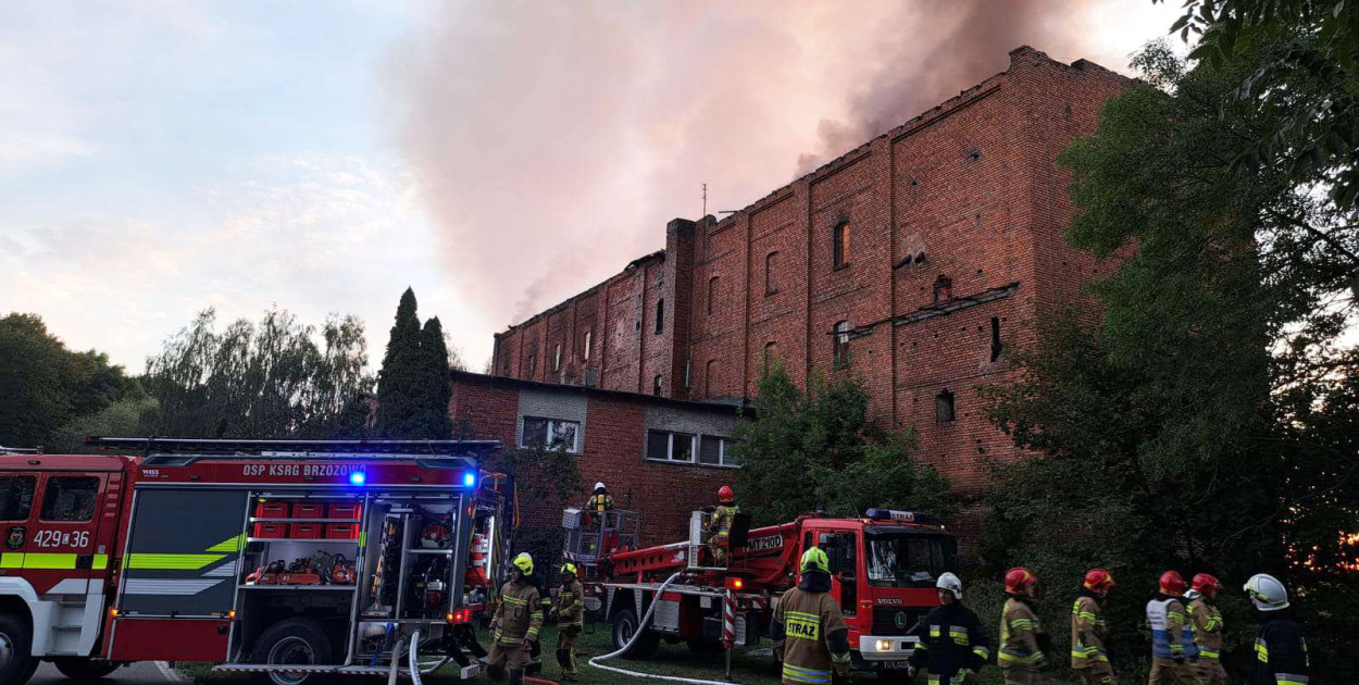 Dramatyczna noc w okolicach Płutowa. Ogień strawił historyczny młyn