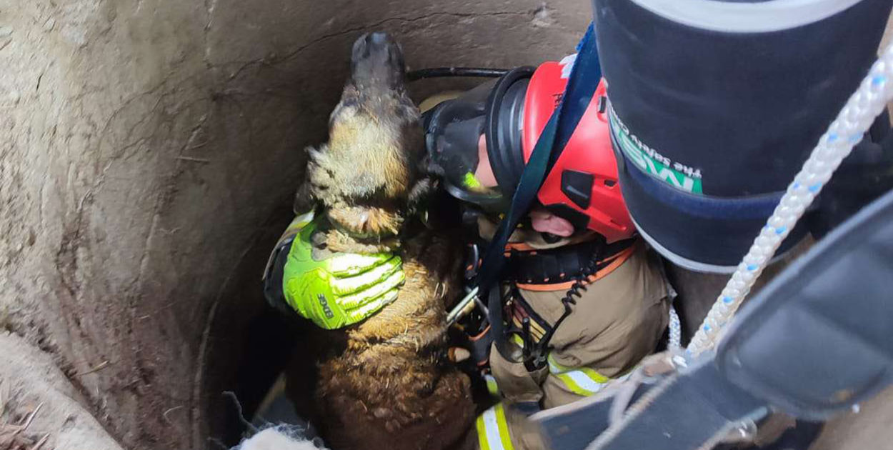 Akcja ratunkowa w Chełmnie. Piesek wyciągnięty ze studni