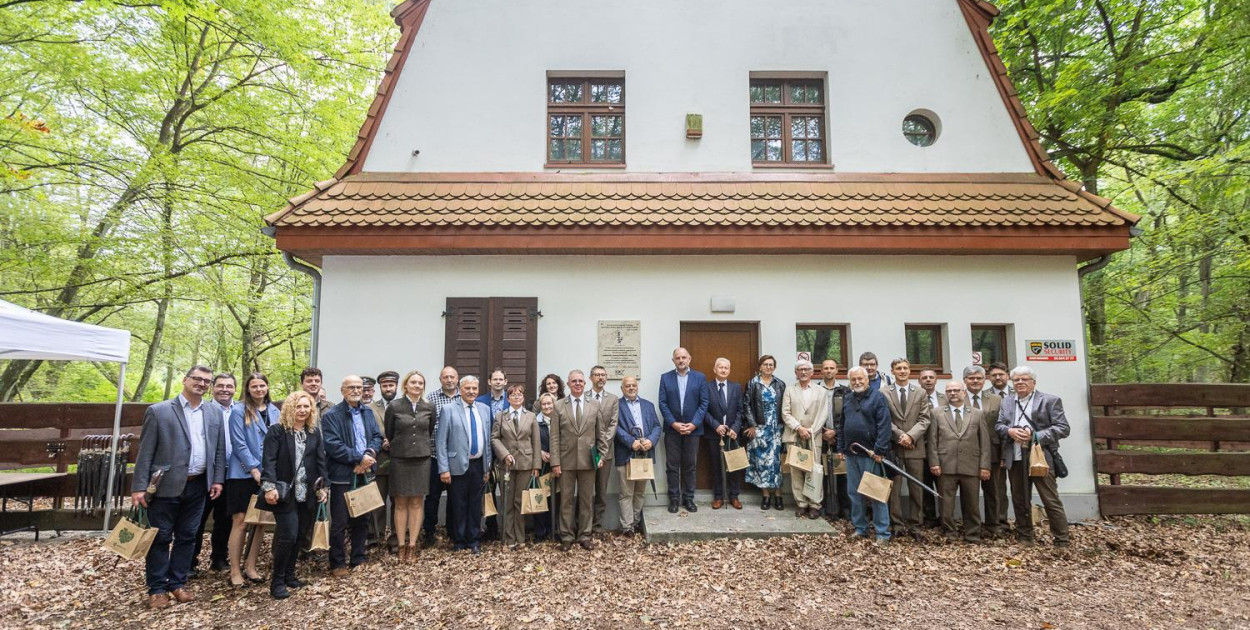 Las Piwnicki – 100 lat ochrony cennego przyrodniczo obszaru