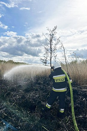 Pożar nieużytków w okolicach Chełmna-9227