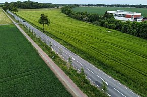 Zielona aleja powstanie wzdłuż kolejnej wojewódzkiej drogi-9543