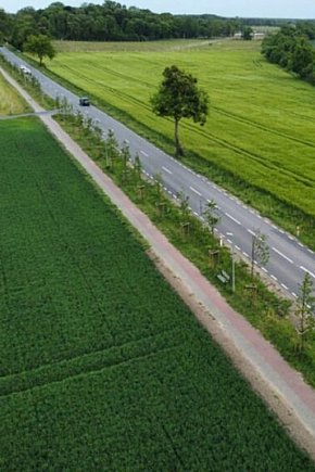 Zielona aleja powstanie wzdłuż kolejnej wojewódzkiej drogi-9543