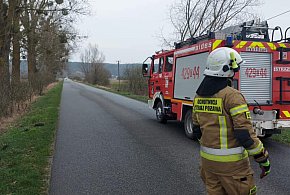 Dublet interwencji strażaków w jednym dniu - co działo się w Oborach i Podwiesku-81596