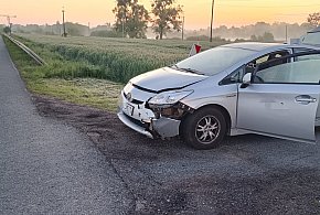 Kolizja samochodu osobowego z sarną-92247