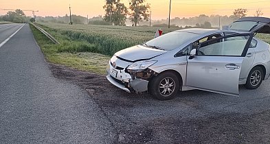 Kolizja samochodu osobowego z sarną-92247