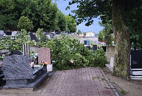Liczne zniszczenia po wczorajszej nawałnicy w Chełmnie -93384