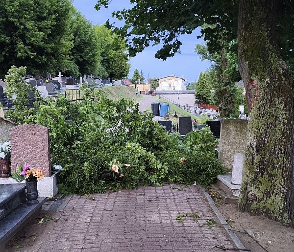 Liczne zniszczenia po wczorajszej nawałnicy w Chełmnie -93384