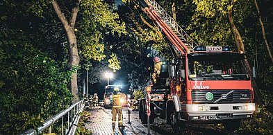 Silny wiatr narobił szkód w naszych okolicach -93476