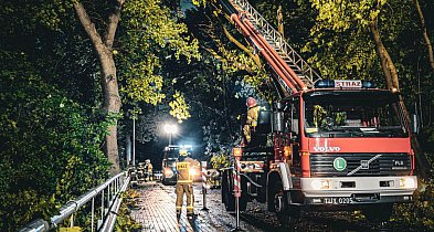 Silny wiatr narobił szkód w naszych okolicach -93476
