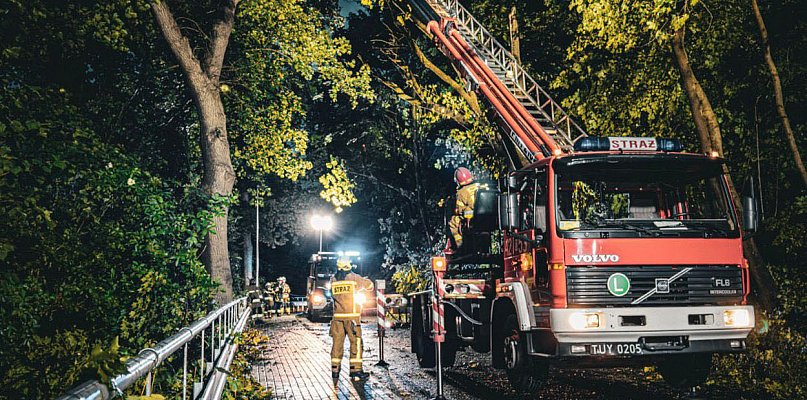 Silny wiatr narobił szkód w naszych okolicach  - 93476