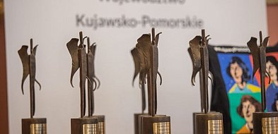 Stalowe Anioły – nagrodzimy liderów pomocy społecznej-93505