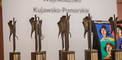 Stalowe Anioły – nagrodzimy liderów pomocy społecznej-93505