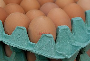 Salmonella na jajach znanej marki. Nie jedz, jeśli masz je w lodówce!-93573