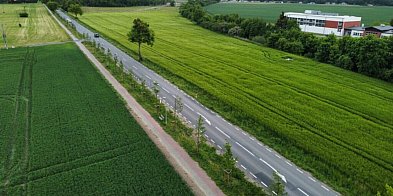 Zielona aleja powstanie wzdłuż kolejnej wojewódzkiej...-93682