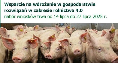Ruszył nabór wniosków na wsparcie w zakresie rolnictwa 4.0.-93936
