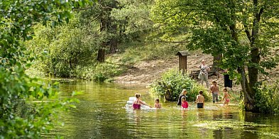 Tucholski Park Krajobrazowy zaprasza na grzyby, ryby -94626