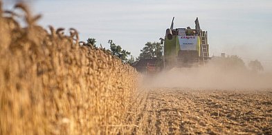 Dożynki wojewódzkie 2025 – spotykamy się w Myślęcinku!-94677