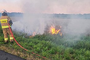 Strażacy interweniowali dwukrotnie w  okolicach Chełmna -94935