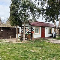 zdjecie ogloszenia