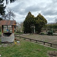 zdjecie ogloszenia
