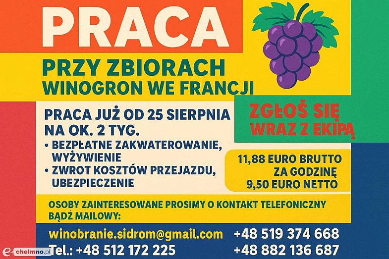 zdjecie ogloszenia