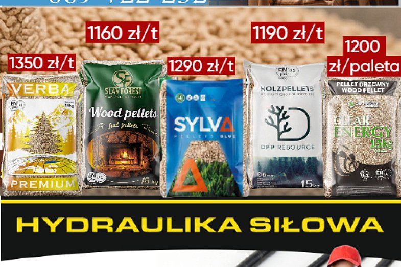 zdjecie ogloszenia