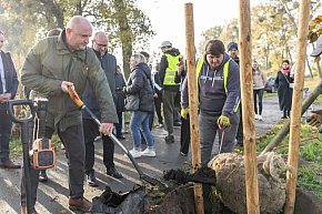 Coraz więcej zielonych dróg w regionie-10259