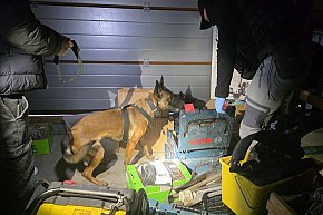 Chełmińscy Policjanci uderzyli w narkobiznes-10589