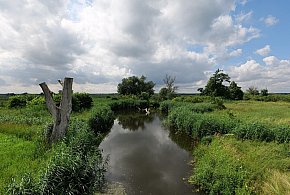 Co dalej z nowym parkiem narodowym? Minister klimatu zdradza plan po wecie-97351