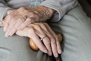 Te osoby dostaną dwie emerytury w grudniu. ZUS przesuwa przelewy-97849