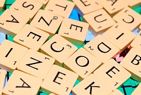 To słowo podbiło polską młodzież! Młodzieżowe Słowo Roku 2025 już wybrane-98322