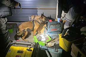 Chełmińscy Policjanci uderzyli w narkobiznes-98298