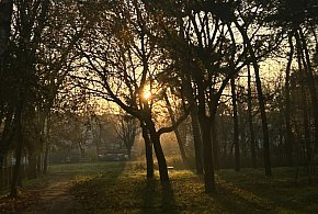 Nadchodzi najkrótszy dzień w 2025 roku. Sprawdź, kiedy przypadnie-98695