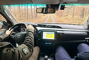 Wspólne patrole policjantów i strażników leśnych-98800