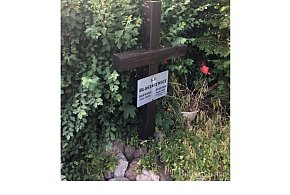 Informacja Muzeum Ziemi Chełmińskiej-99082