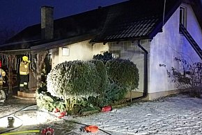 Pożar kotłowni w Trzebczu Szlacheckim. Na miejscu 11 zastępów służb-99139